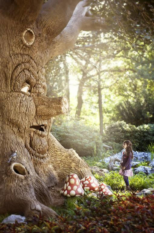 Efteling Bosrijk Ξενοδοχείο Kaatsheuvel Εξωτερικό φωτογραφία